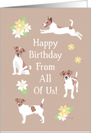 From Group Birthday Cute Jack Russel Dogs With Flowers card