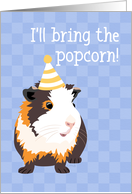 Congratulations For Any Occasion From Guinea Pig card