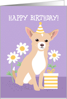 Happy Birthday Cute Blond Chihuahua Dog card