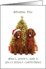 Red Setter Christmas card