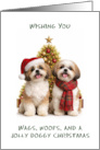 Shih Tzu Christmas card
