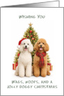 Poodles Christmas card