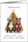 Pit Bull Christmas card