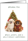 Pekinese Christmas card