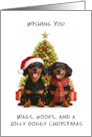 Dachshunds Christmas card