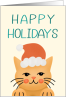 Happy Holidays Cat with Santa Hat card