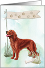 Irish Setter Dog Any Occasion Blank Inside card