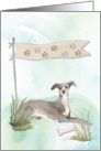 Italian Greyhound Dog Any Occasion Blank Inside card