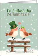 St Patrick's Day Cute Romantic Love Birds in Falling Snow