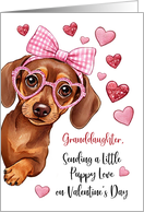 Granddaughter Valentine Puppy Love Cute Dog card