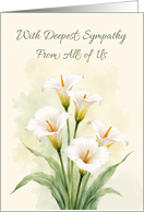 Sympathy From All of Us White Calla Lilies and Soft Greenery
