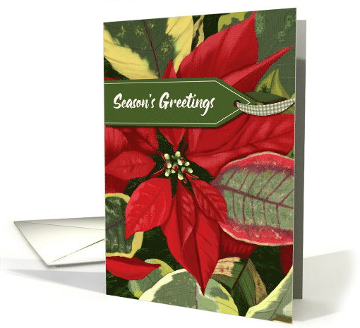 Season's Greetings Traditional Poinsettia card (1950224)