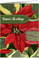 Season’s Greetings Traditional Poinsettia card