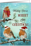 Merry Little Christmas Robins