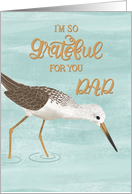 So Grateful for You Dad Sandpiper Father�s Day Card
