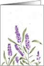 Lavender Watercolor to Say Thank You card