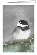 Friendship Wintry Black Capped Chickadee Watercolor