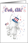 July 4th Patriotic Elephant Watching Fireworks card