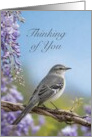 Thinking of You Mockingbird with Purple Wisteria Blossoms card