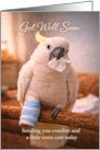 Get Well Cockatoo with Cast and Tissue card
