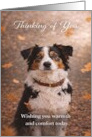 Thinking of You Australian Shepherd Dog in Autumn card