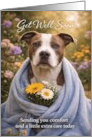 Get Well Pitbull Dog with Flowers in Garden card