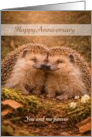 Anniversary Hedgehog Pair You and Me Forever for Spouse card