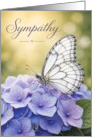 Sympathy White Butterfly on Purple Hydrangea card