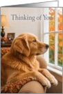 Thinking of You Golden Retriever Looking Out Window card