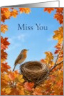 Miss You Robin Beside Empty Nest in Autumn card