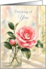 Thinking of You Pink Camellia in Glass Vase card