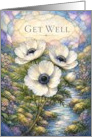 Get Well White Anemones by Rocky Stream card
