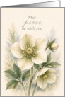 Sympathy White Hellebore Watercolor Floral card