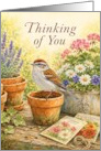 Thinking of You Sparrow on Garden Flower Pots card