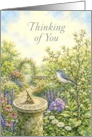 Thinking of You Blue Gray Gnatcatcher with Sundial card