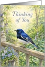 Thinking of You Black Throated Blue Warbler on Garden Railing card