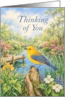 Thinking of You Golden Warbler at the Pond card
