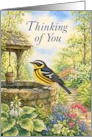 Thinking of You Magnolia Warbler on the Garden Well card