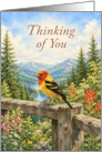 Thinking of You Western Tanager in Mountain Wildflowers card