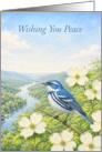 Sympathy Cerulean Warbler Among Flowering Dogwoods card