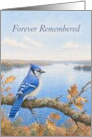 Sympathy Blue Jay Over Peaceful Autumn Lake card