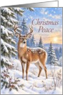 Christmas Peace Deer in Snowy Winter Landscape card