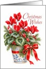 Christmas Red Cyclamen card