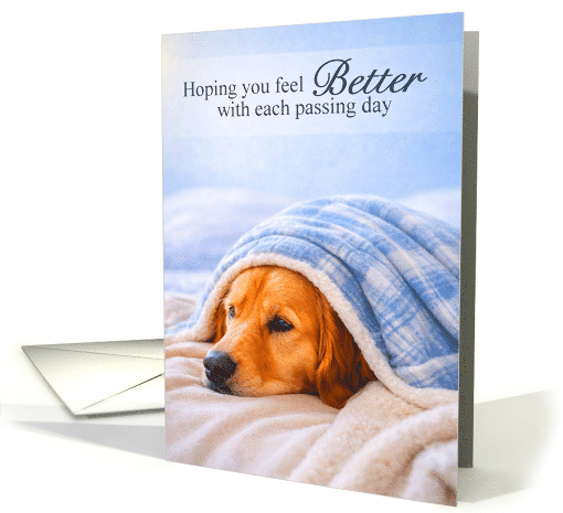 Get Well Soon Golden Retriever Wrapped in Cozy Blanket card (1976948)