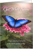 Get Well Blue Morpho Butterfly on Pink Flowers