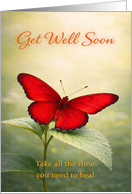 Get Well Soon Red Butterfly on Green Leaf