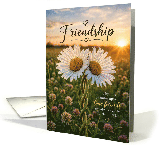 Friendship Daisies Side by Side Always Close card (1981012)