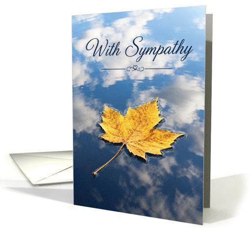 Sympathy Autumn Leaf Floating On Reflected Sky card (1983138)
