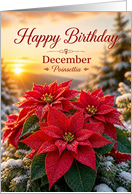 Birthday December Birth Flower Red Poinsettia Winter Sunset card