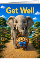 Get Well Elephant Carrying Basket of Peanuts